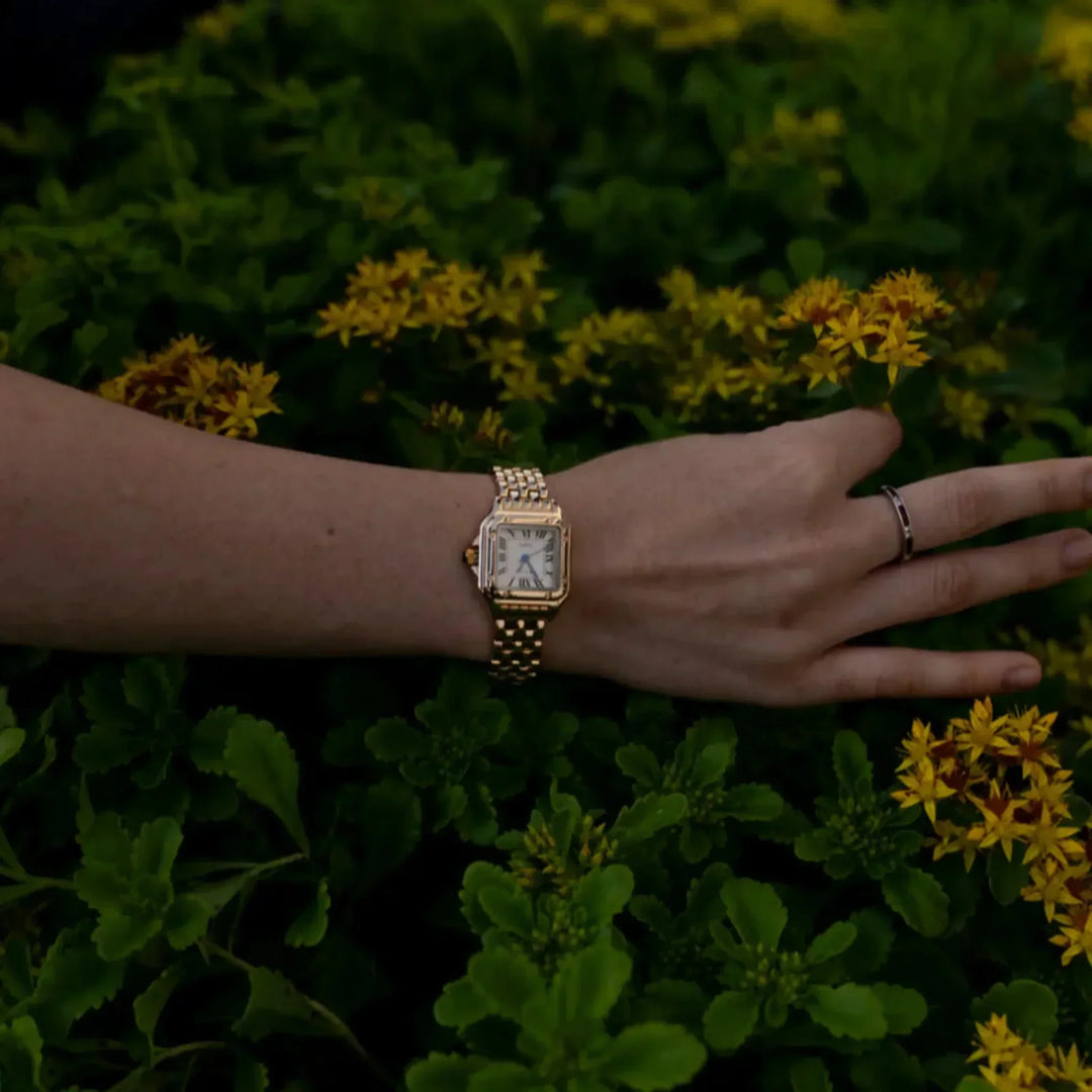 Calista | Watch