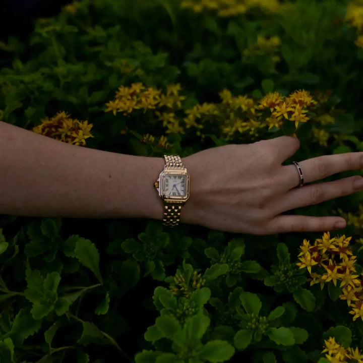 Calista | Watch